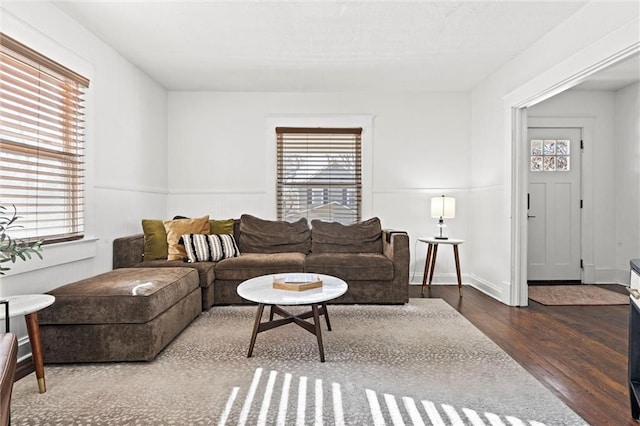 living room featuring dark wood-type flooring