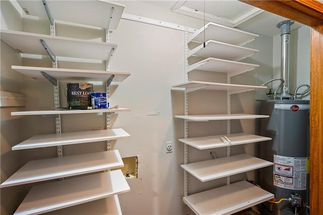 pantry featuring gas water heater