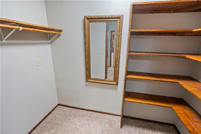 walk in closet with carpet floors and built in study area