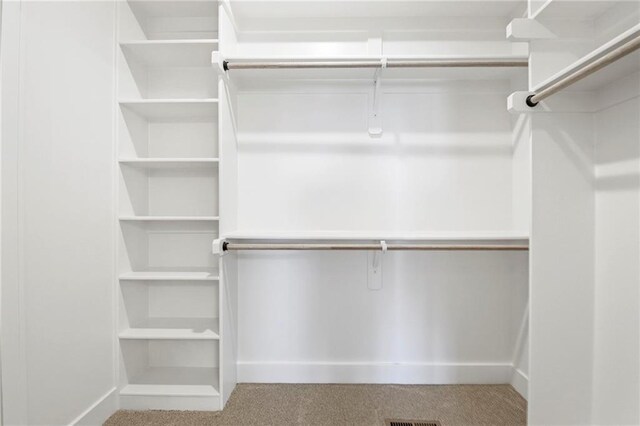 17151 W 168th Pl, Olathe, KS 66062 - walk in closet featuring carpet flooring