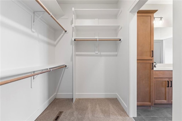 17151 W 168th Pl, Olathe, KS 66062 - walk in closet with carpet floors