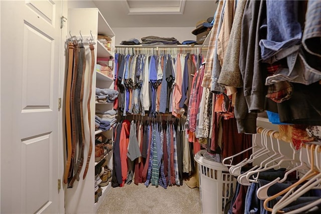 spacious closet with carpet flooring