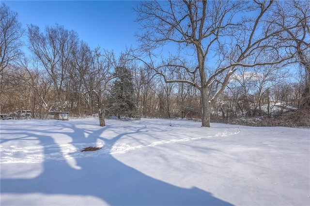 view of yard layered in snow