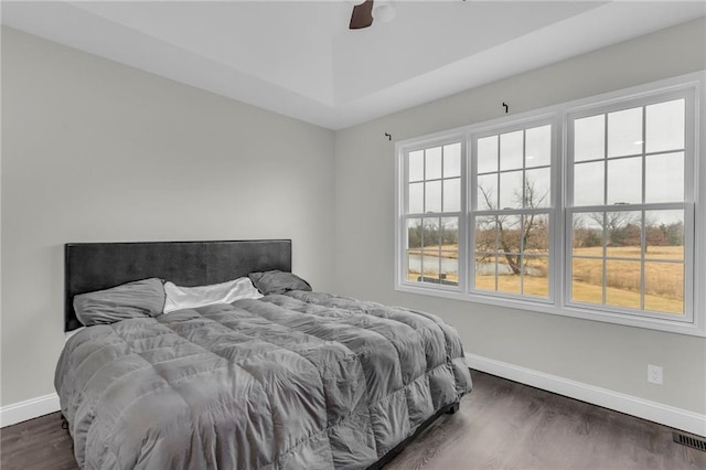 bedroom with multiple windows, baseboards, and dark wood-style flooring