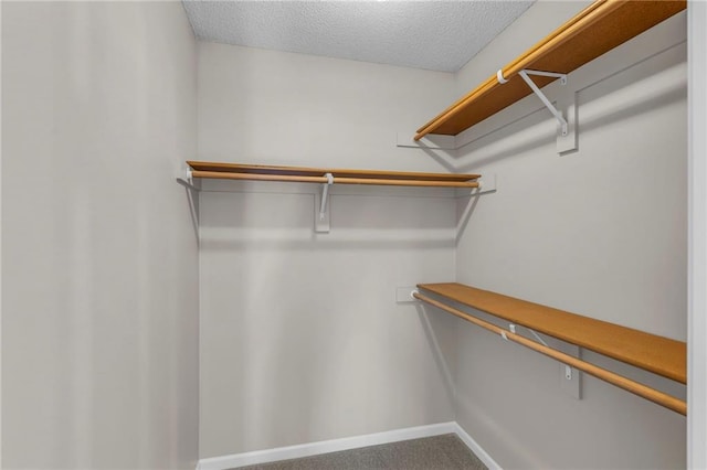 walk in closet with carpet flooring