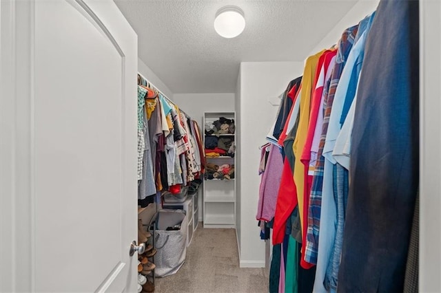 walk in closet with light colored carpet