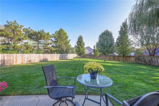 view of yard featuring a patio area and a fenced backyard