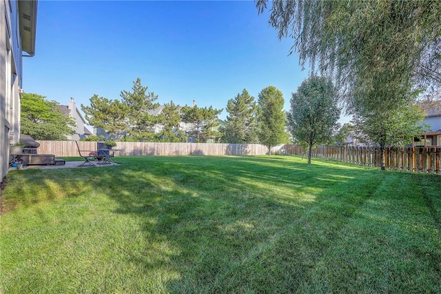 view of yard featuring a fenced backyard