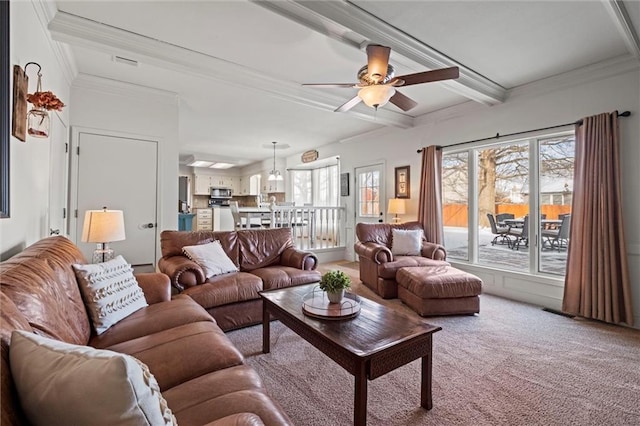 living area with visible vents, ceiling fan, beamed ceiling, crown molding, and carpet floors