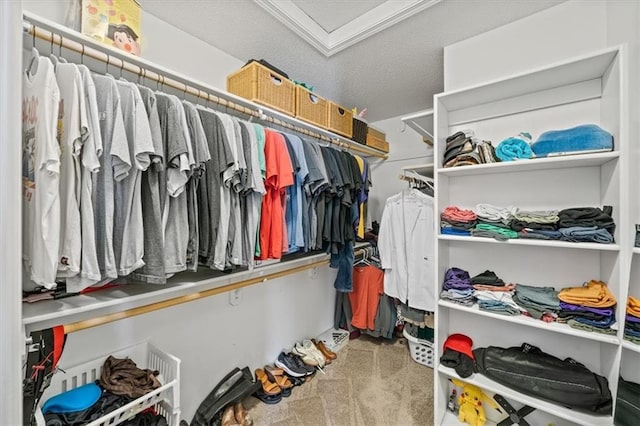 walk in closet featuring attic access and light colored carpet