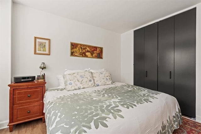 bedroom featuring wood finished floors and a closet