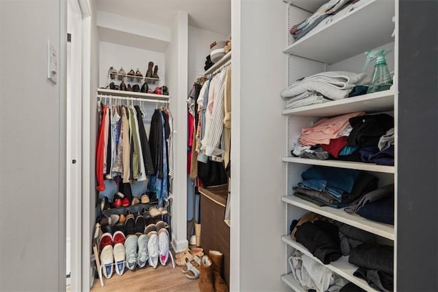 spacious closet with wood finished floors