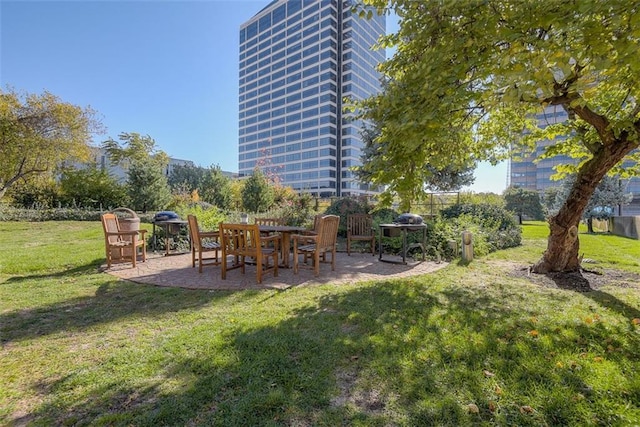 view of yard featuring a patio area