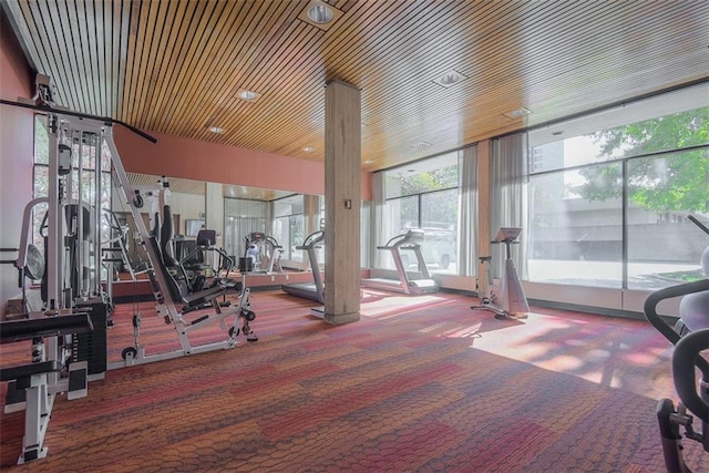 gym featuring carpet