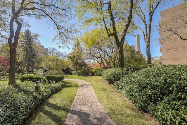 view of property's community featuring a yard