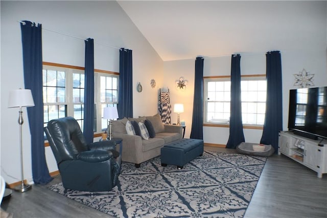 living room featuring high vaulted ceiling, a healthy amount of sunlight, and wood finished floors