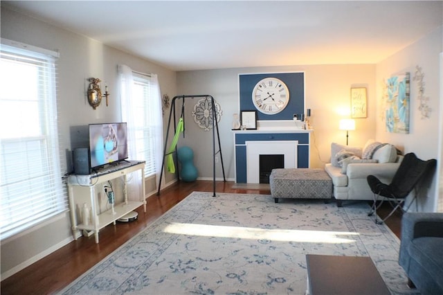 living room featuring a fireplace, wood finished floors, and baseboards