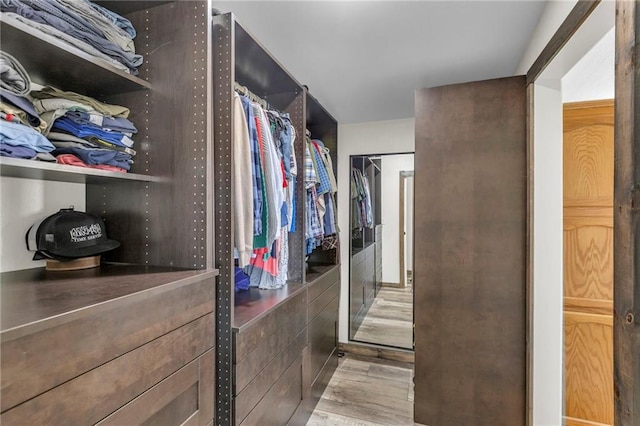 spacious closet with wood finished floors