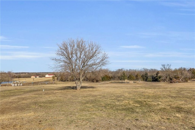 view of yard with a rural view