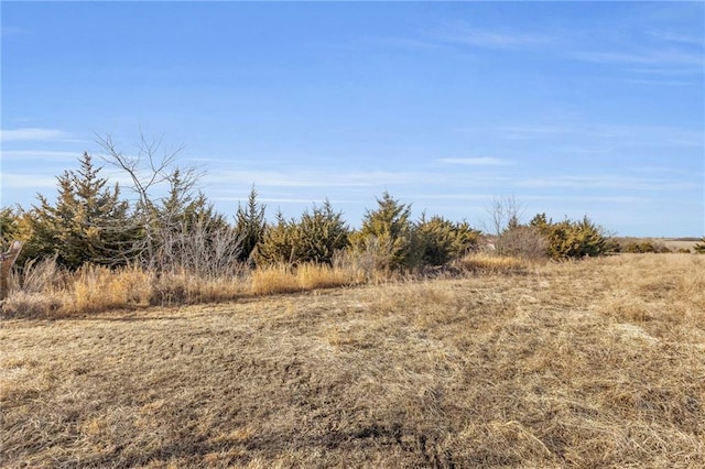 view of local wilderness