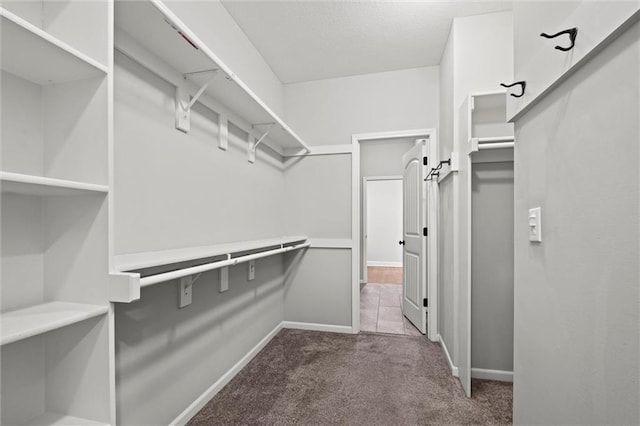 spacious closet with carpet floors