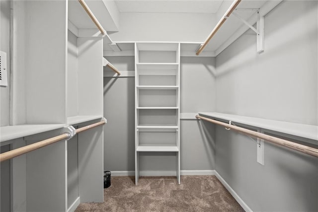 spacious closet with carpet