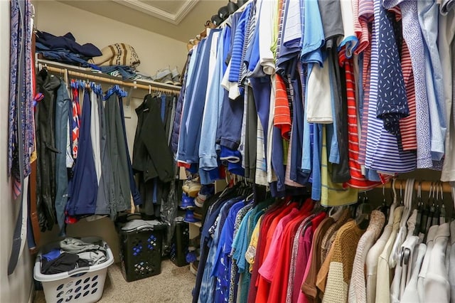 walk in closet featuring carpet floors