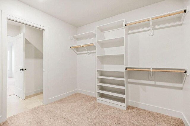 walk in closet featuring carpet floors