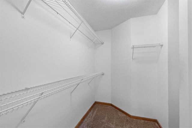 spacious closet with carpet floors