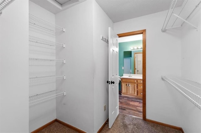 spacious closet with carpet and a sink