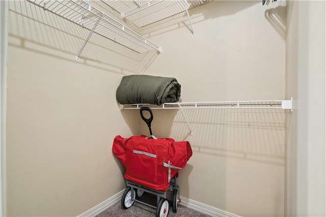 spacious closet with carpet floors