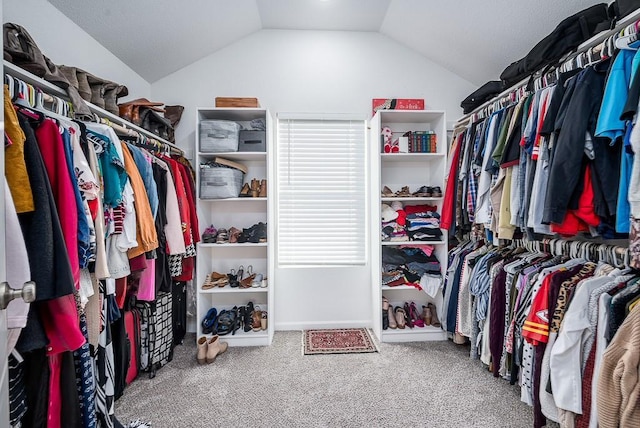 spacious closet featuring lofted ceiling and carpet flooring