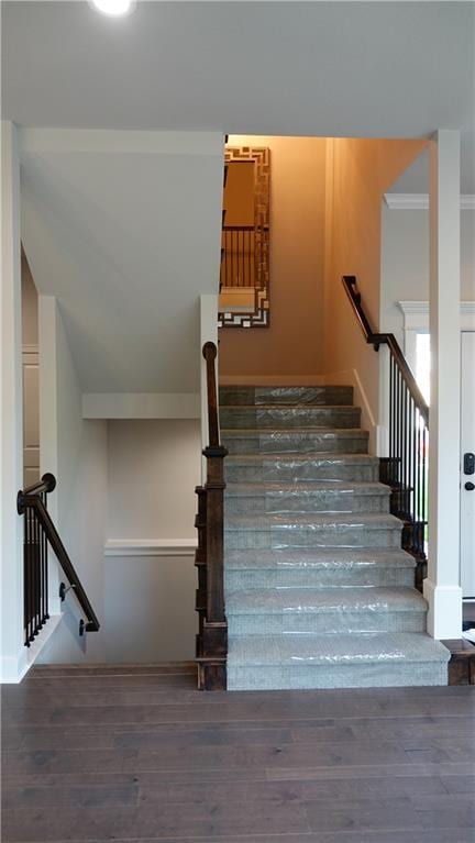 staircase featuring wood finished floors