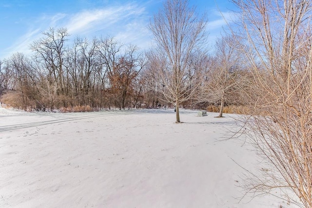 view of snowy yard