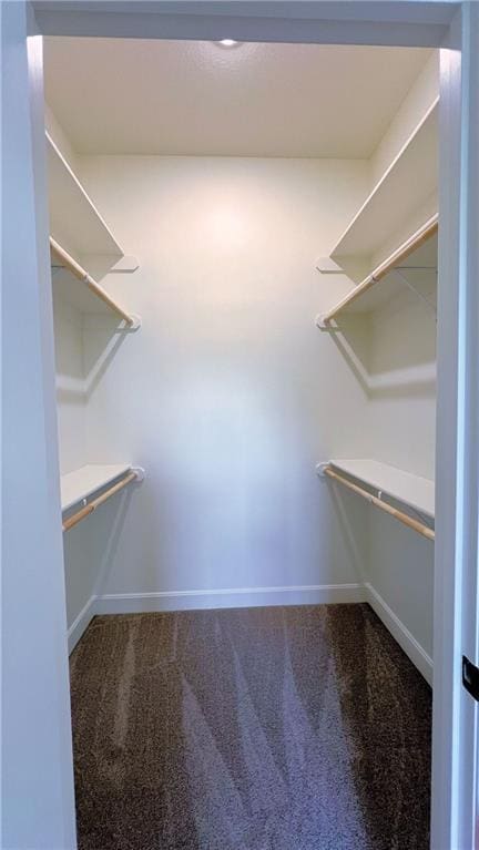 22312 W 76th St, Shawnee, KS 66227 - walk in closet featuring carpet flooring
