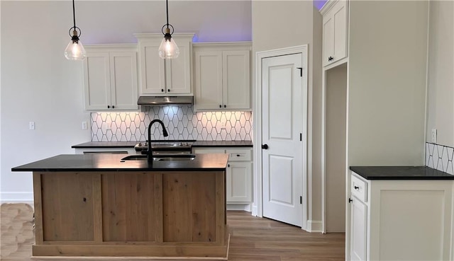 22312 W 76th St, Shawnee, KS 66227 - kitchen with dark countertops, under cabinet range hood, tasteful backsplash, and wood finished floors