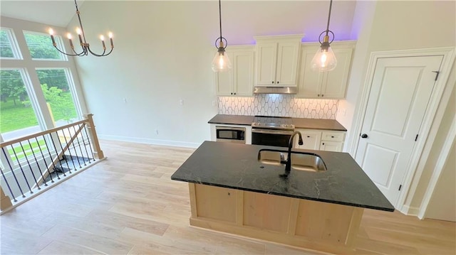 22312 W 76th St, Shawnee, KS 66227 - kitchen with stainless steel appliances, a chandelier, under cabinet range hood, tasteful backsplash, and light wood-style flooring