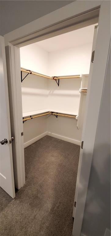 walk in closet featuring dark colored carpet