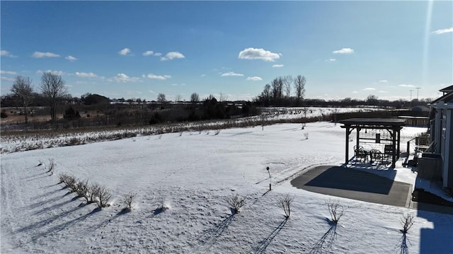 view of yard covered in snow