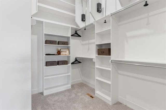 spacious closet with carpet floors