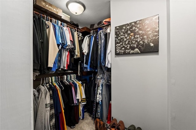 spacious closet featuring carpet floors