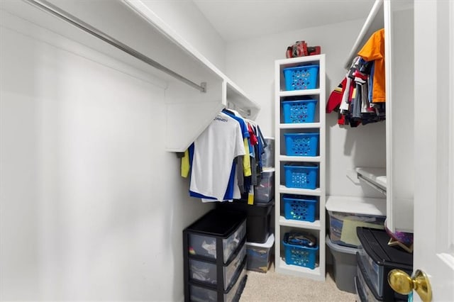 walk in closet featuring carpet floors