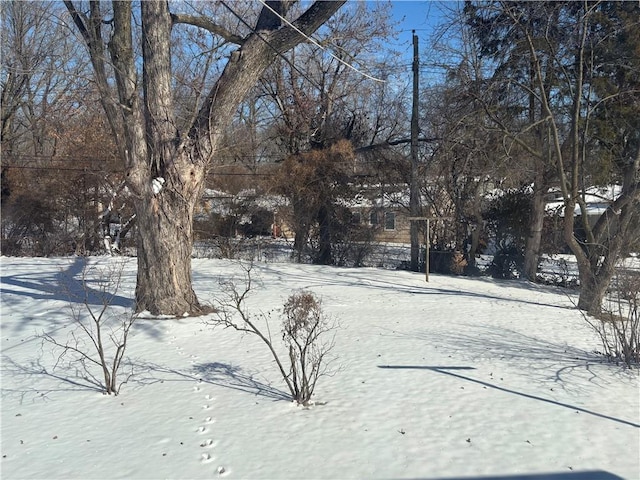 view of yard covered in snow