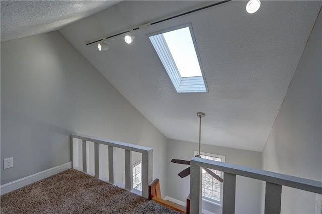 room details featuring baseboards, a skylight, track lighting, a textured ceiling, and carpet flooring