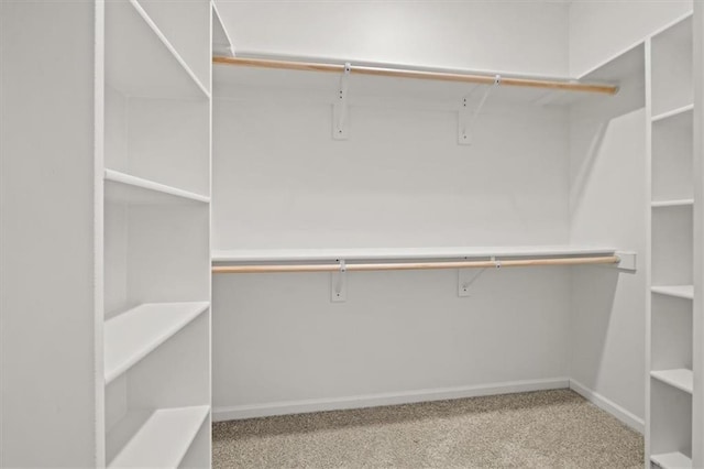 walk in closet with carpet flooring