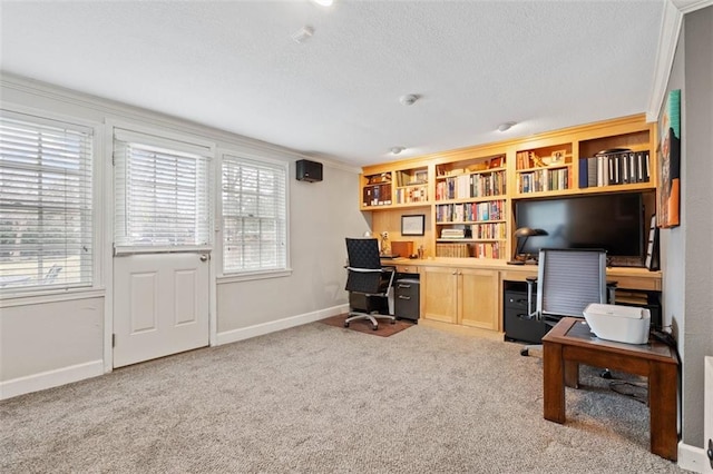 office featuring a healthy amount of sunlight, carpet flooring, and baseboards