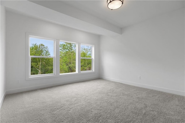 5114 Montebella Dr, Riverside, MO 64150 - photo 29