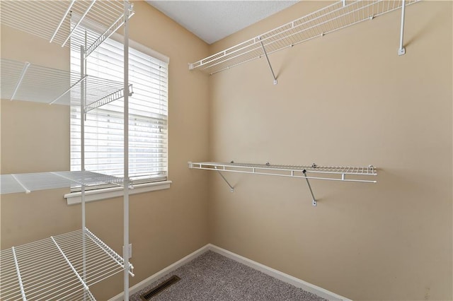 walk in closet with visible vents and carpet