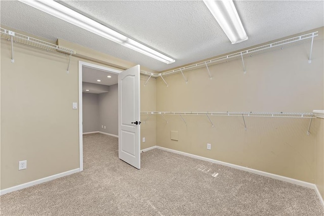 walk in closet with carpet flooring