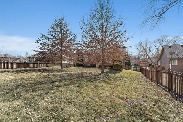 view of yard with a fenced backyard